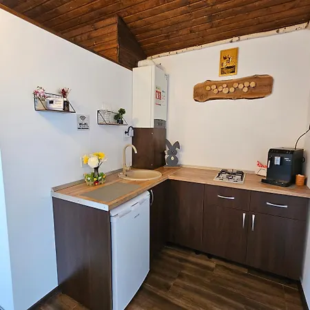 Bujor De Munte Risnov